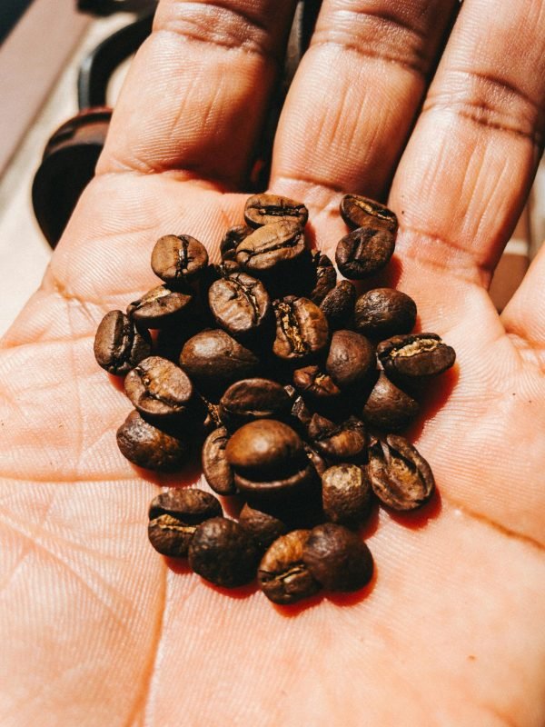 pexels-anderson-martinsz-34634580